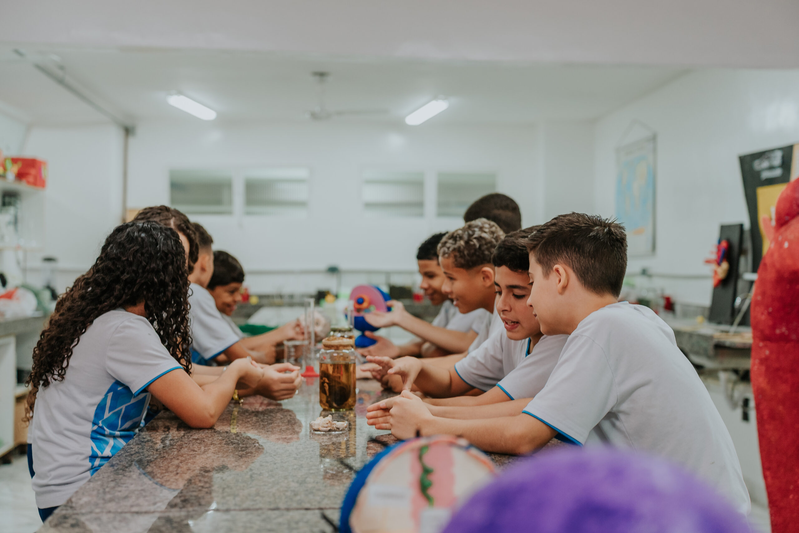 Ensino Fundamental - Anos Finais